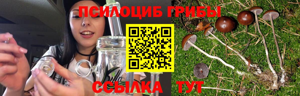 Псилоцибиновые грибы Psilocybine cubensis  Вход с VPN  Псилоцибиновые грибы MAGIC MUSHROOMS  Ефремов 