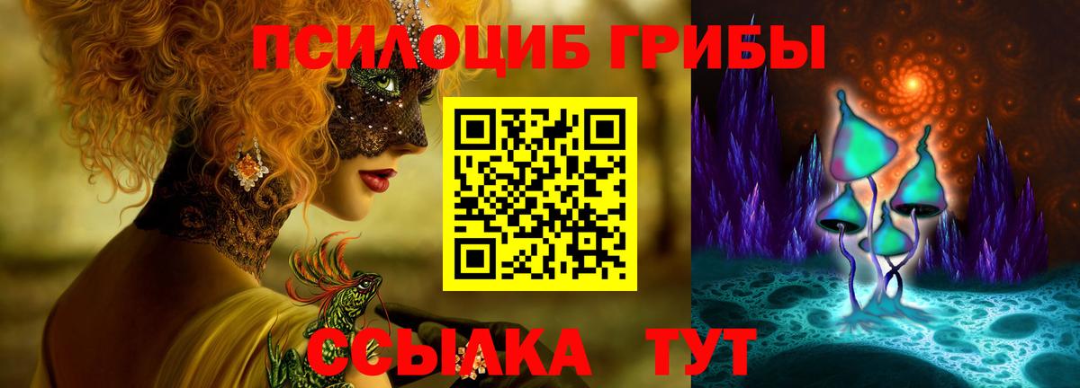 Псилоцибиновые грибы Psilocybine cubensis Ефремов